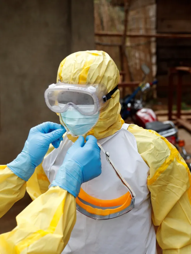 Ebola: risco de contágio da doença é baixo?