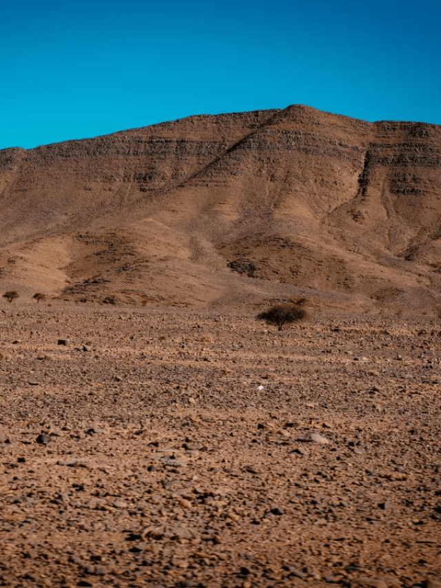 Marrocos aposta em dessalinização para combater crise hídrica