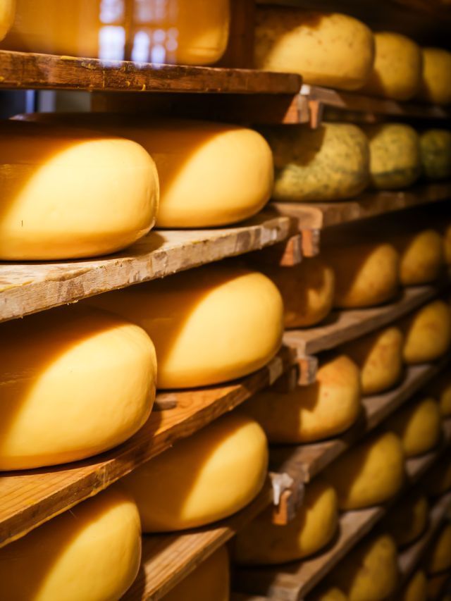 Rota do Queijo de Minas une gastronomia e cultura na Serra da Piedade