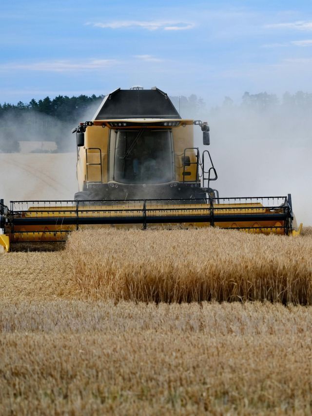 Entenda o Refis do Agro e por que projeto virou alvo de disputa
