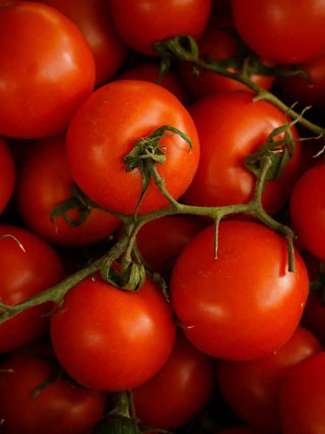 Tomate, cenoura e batata acumulam alta superior a 100% em 2026