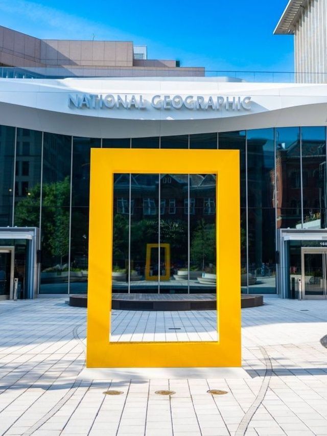 Como é o novo museu interativo da National Geographic em Washington