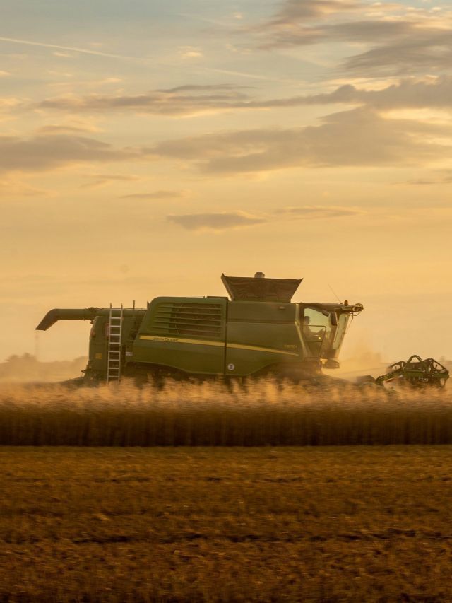 Agronegócio demonstra preocupação com o fenômeno El Niño