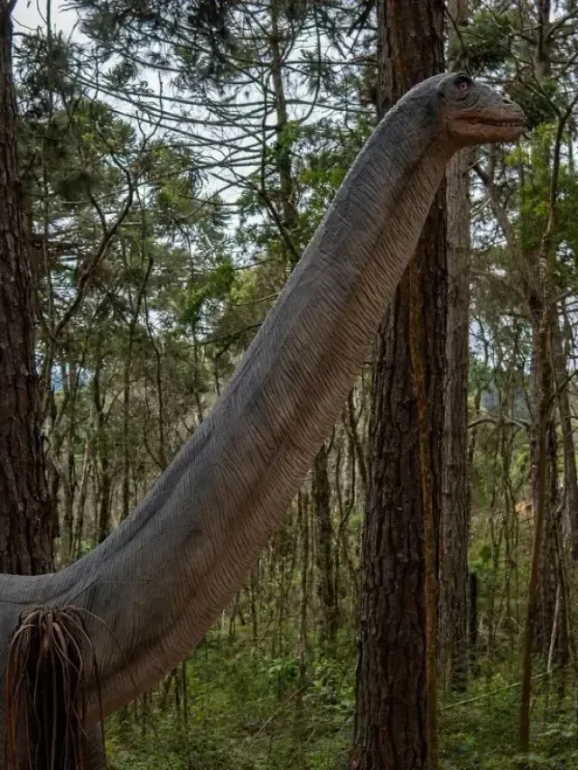 Campos do Jordão ganhará parque de dinossauros com mais de 60 réplicas