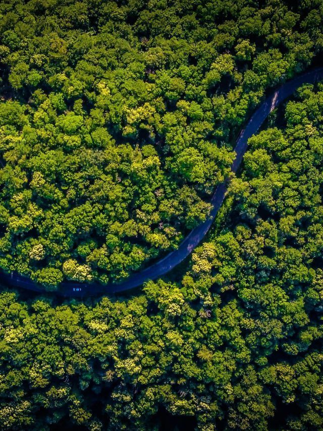 Civilização perdida na Amazônia pode ter reunido até 3 mi de pessoas