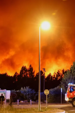 Veja como aviões e helicópteros ajudam a combater os incêndios florestais