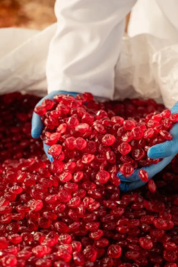 Restos de doces viram etanol: empresa cria alternativa à cana e milho