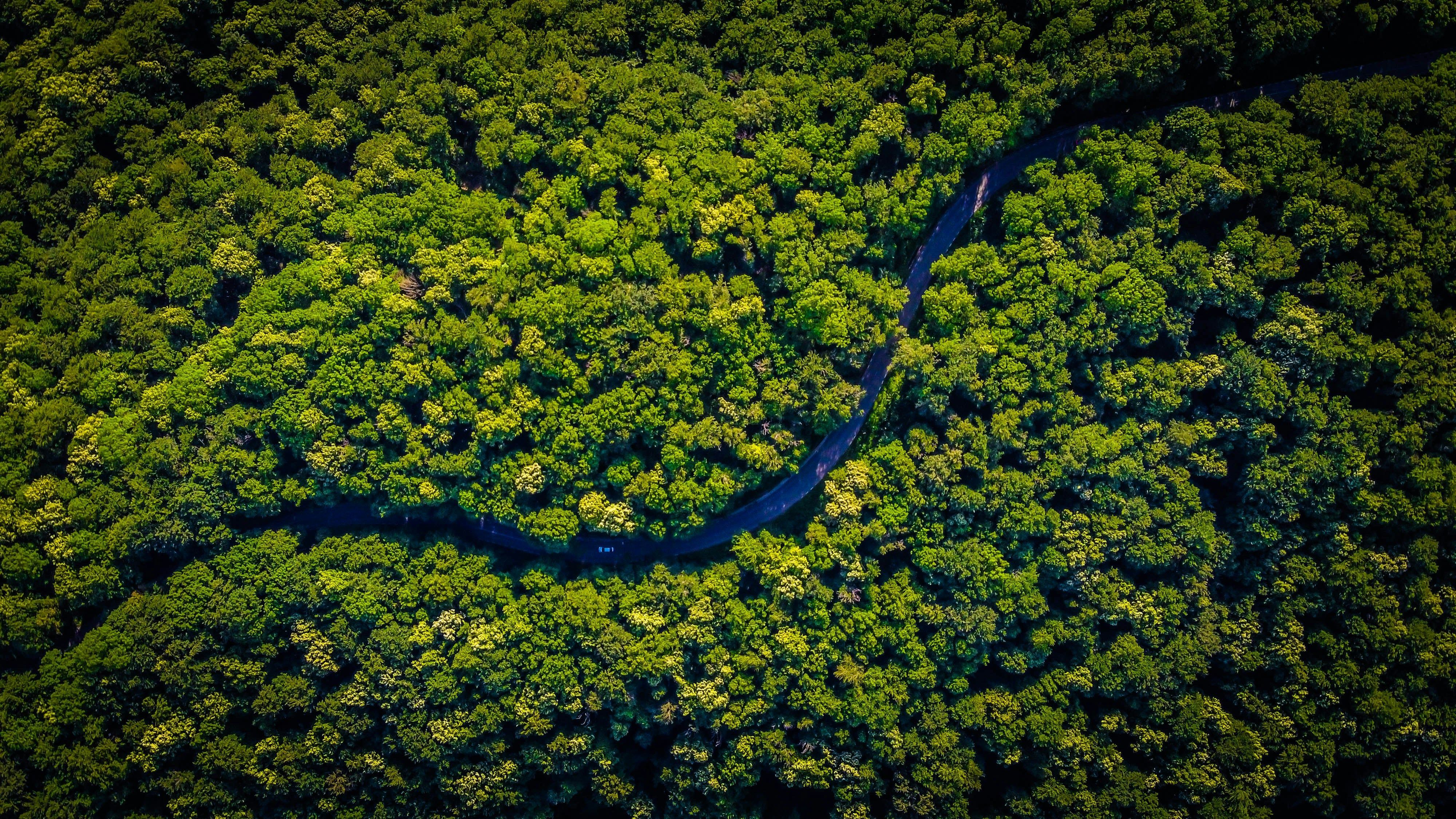 Civilização perdida na Amazônia pode ter reunido até 3 milhões de pessoas