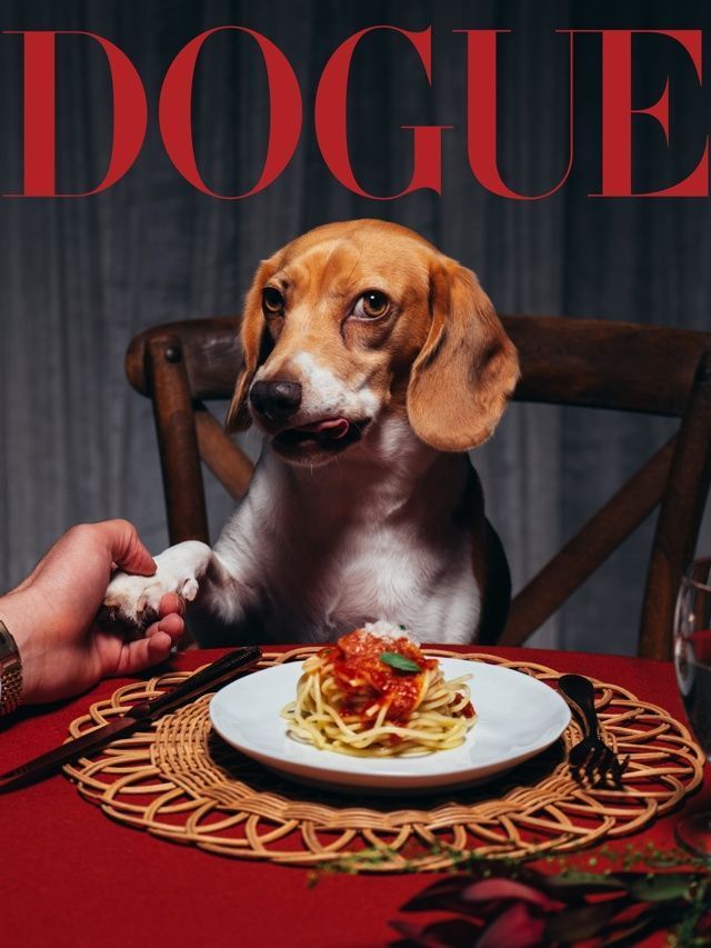 Cadela de Bad Bunny estampa capa da “Dogue”, projeto da “Vogue” para pets