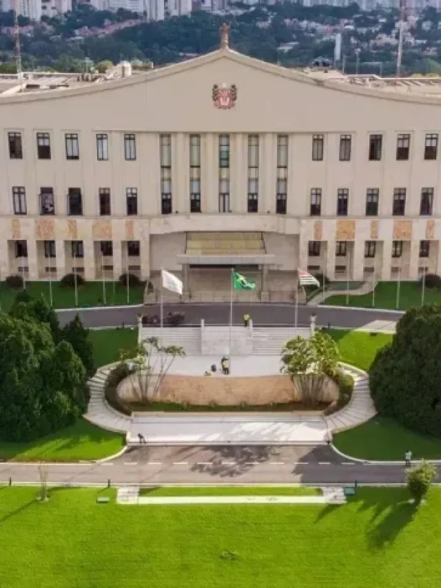 Quem são os candidatos a governador de São Paulo em 2026