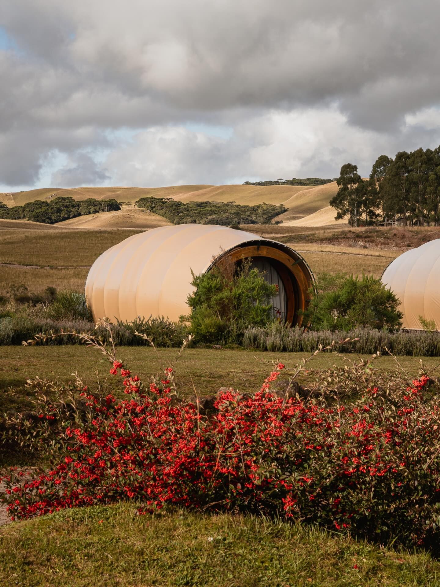 O que é glamping? Hospedagem une conforto e natureza