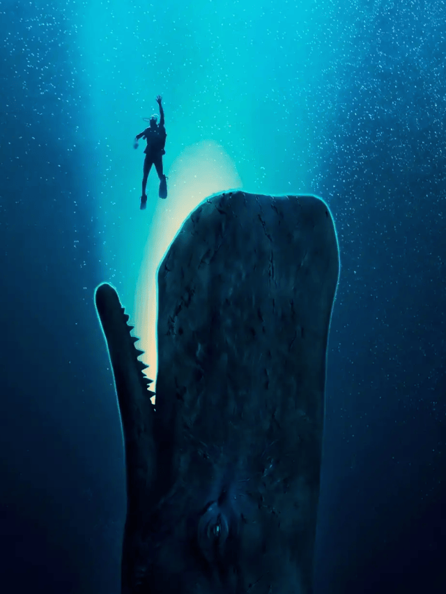 “Dentro da Baleia”: filme de terror é baseado em história real?