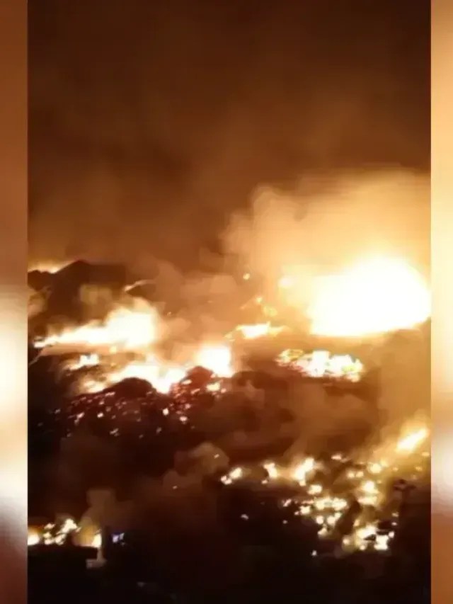 O que sabemos sobre incêndios que atingem mais de 30 cidades do Amazonas