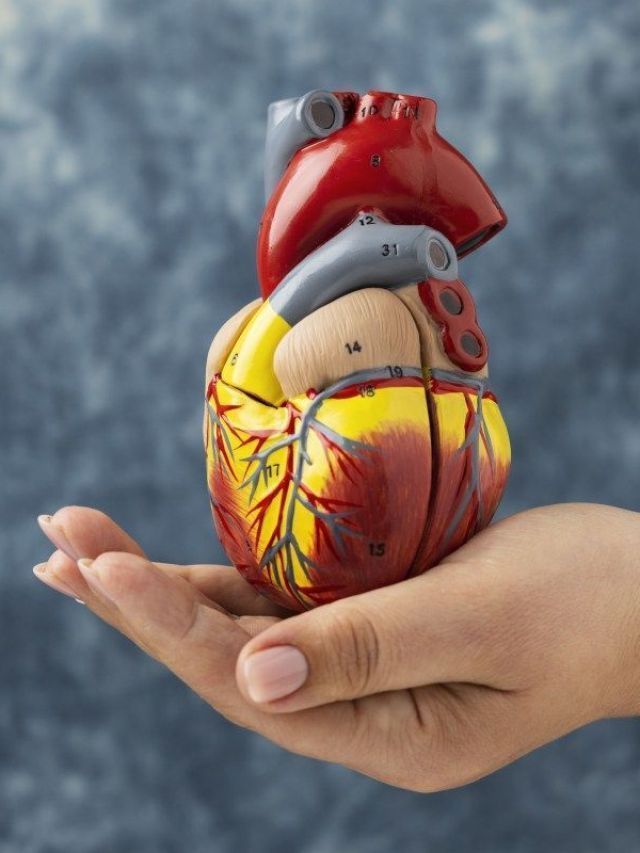 Doenças cardiovasculares resultam em um óbito a cada 72 segundos no Brasil